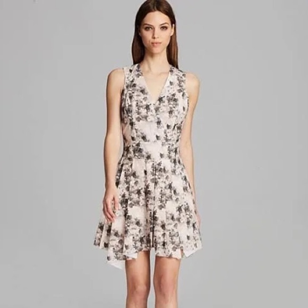 Robert Rodriguez Blush Floral V-Neck Fit & Flare Mini Dress